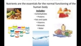 إتقان الكربوهيدرات: التنقل في عالم العناصر الغذائية الأساسية