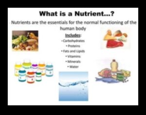 إتقان الكربوهيدرات: التنقل في عالم العناصر الغذائية الأساسية