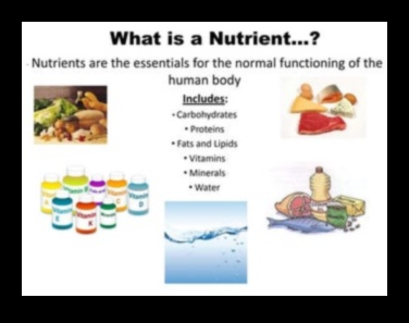 إتقان الكربوهيدرات: التنقل في عالم العناصر الغذائية الأساسية