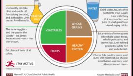 الطبق المتوازن: صياغة قصة العافية الخاصة بك مع استشارات التغذية