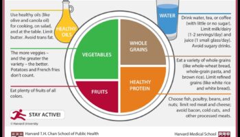 الطبق المتوازن: صياغة قصة العافية الخاصة بك مع استشارات التغذية