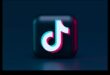 ما وراء المرشحات: استراتيجيات لحضور TikTok الفعال
