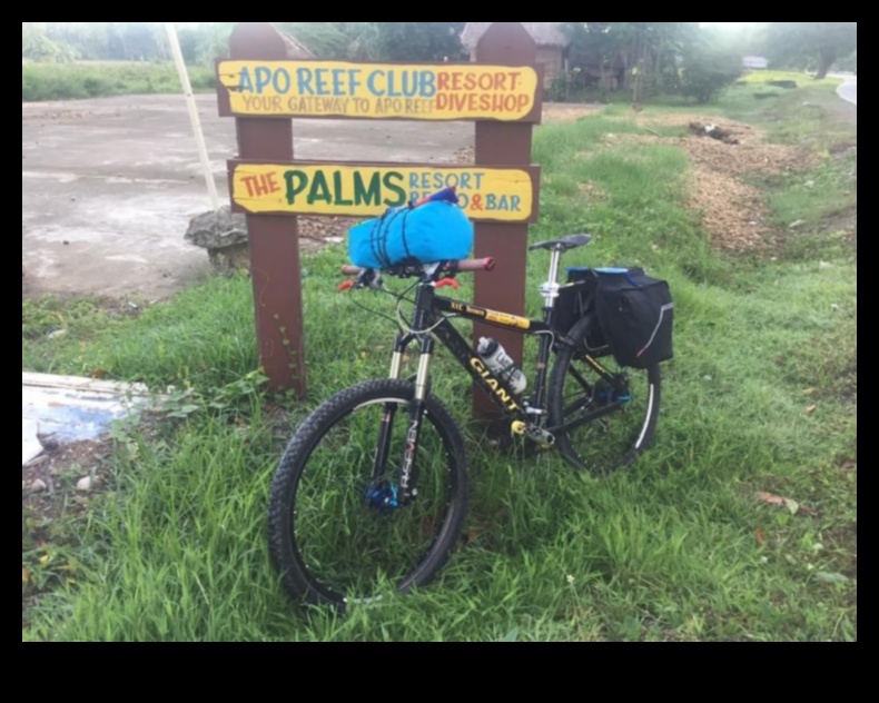 سجلات ركوب الدراجات في المدينة: روايات من راكبي الدراجات المتنقلين