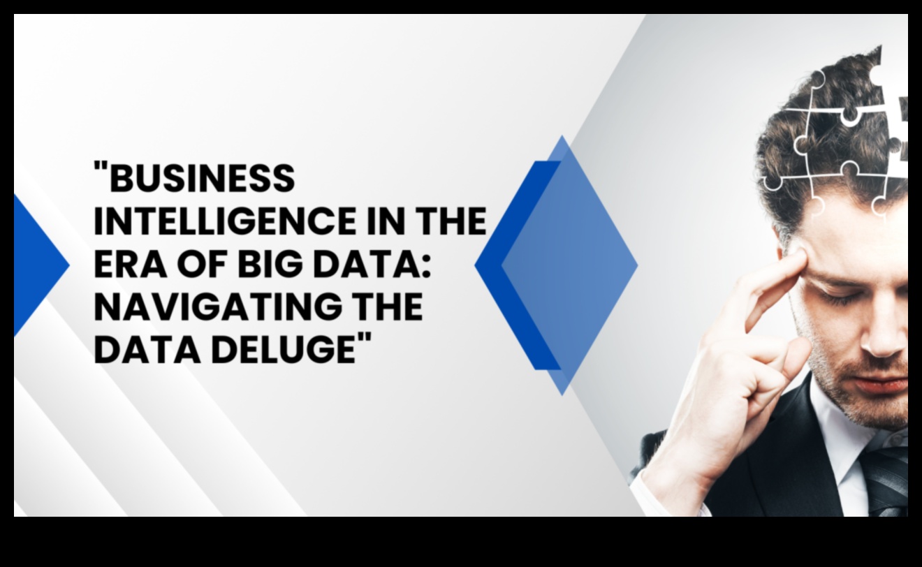 تم الكشف عن سجلات ذكاء الأعمال: قصص الابتكار والانتصار