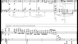 سمفونيات سيتي سكيب: الإيقاع الموسيقي للحياة اليومية في وسائل النقل العام