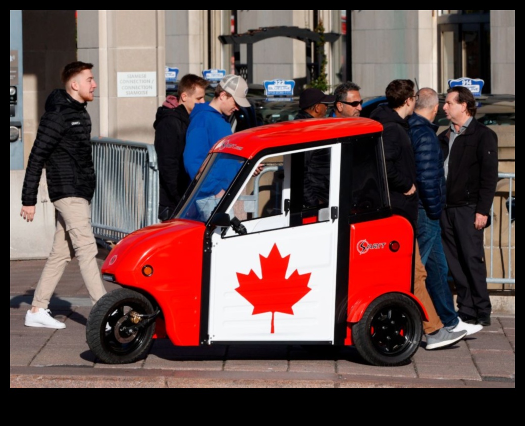 التنقلات النظيفة: تزايد شعبية السيارات الكهربائية في المدن