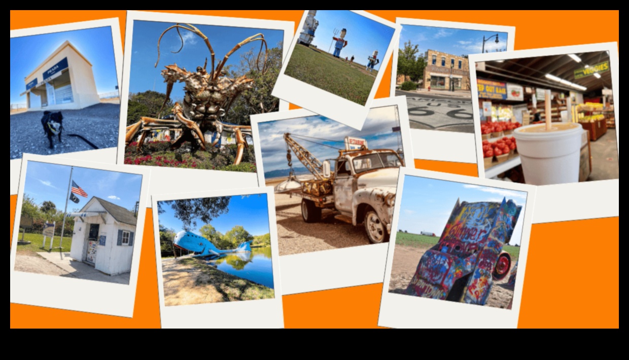 تأملات على جانب الطريق: القصص التي تتكشف على طول رحلة النقل بالشاحنات التجارية