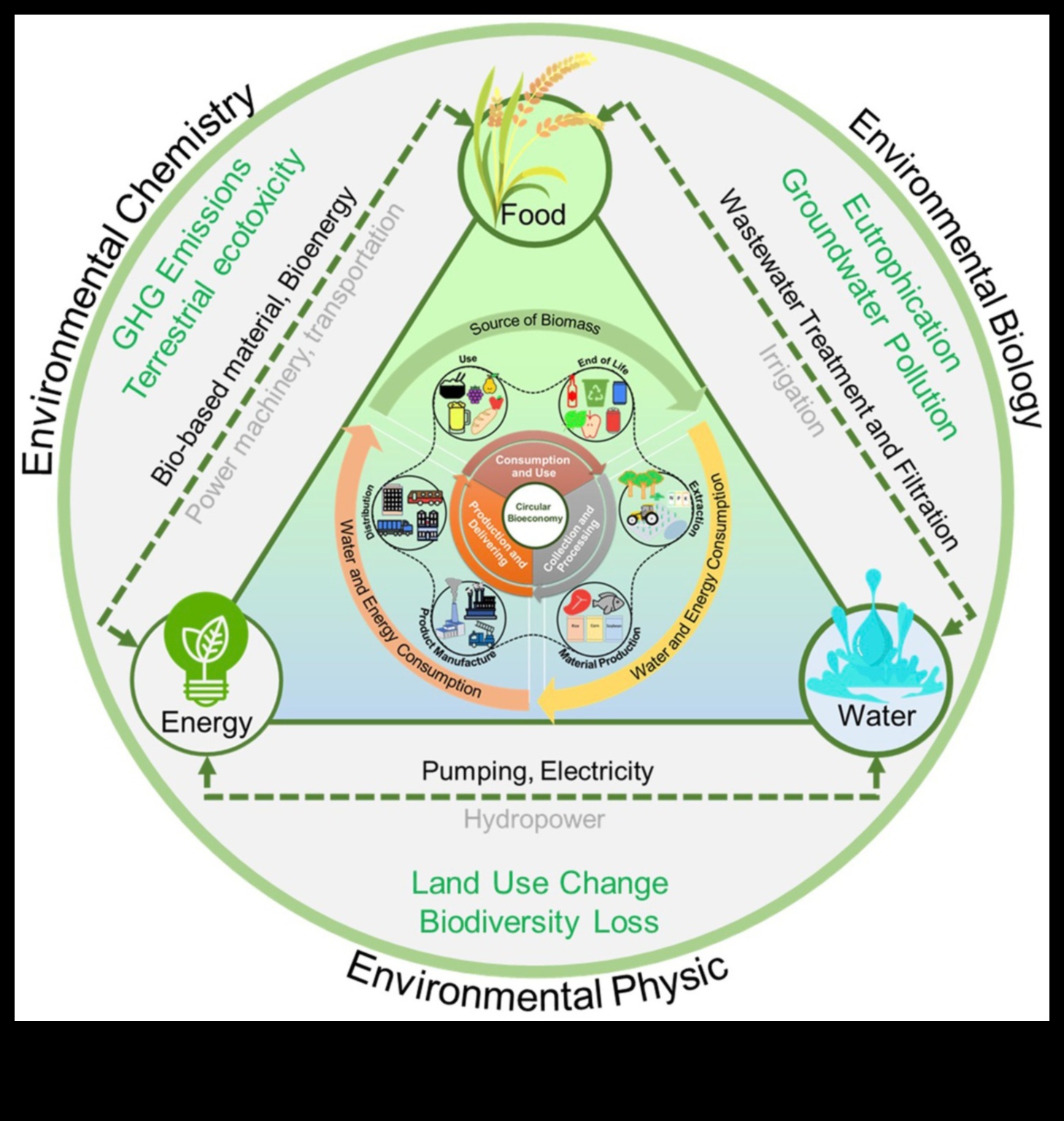 العلاقة بين المغذيات: ربط النقاط بالصحة المثلى