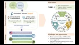 العلاقة بين المغذيات: ربط النقاط بالصحة المثلى