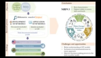 العلاقة بين المغذيات: ربط النقاط بالصحة المثلى