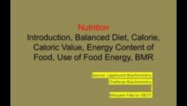 التوازن الكيميائي الحيوي: المفتاح لفتح العافية الغذائية