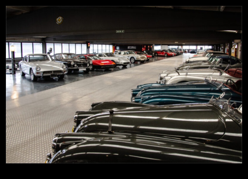 الأناقة الخالدة: الجاذبية الدائمة للسيارات الكلاسيكية الفاخرة