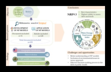 العلاقة بين المغذيات: ربط النقاط بالصحة المثلى